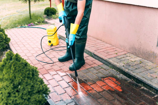 Best Animal Enclosure Cleaning  in Starbuck, MN